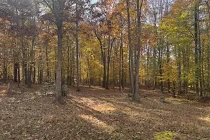 9306 Rapidan Dr, Fredericksburg, VA 22407 - Photo 4