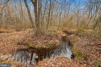 12749 Orange Plank Road, Locust Grove, VA 22508 - Photo 32