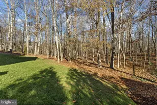 11915 Old Hickory Ct, Spotsylvania, VA 22551 - Photo 64