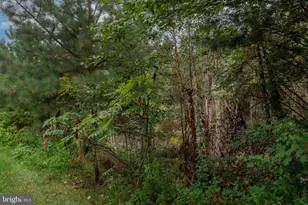 9426 Reservoir Road, Fredericksburg, VA 22407 - Photo 70