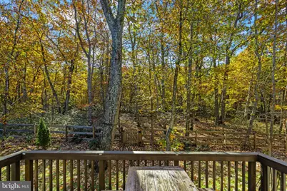 12611 Wilderness Park Drive, Spotsylvania, VA 22551 - Photo 10