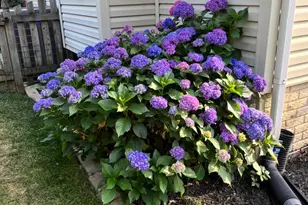 2707 Francis Ct, Fredericksburg, VA 22408 - Photo 4