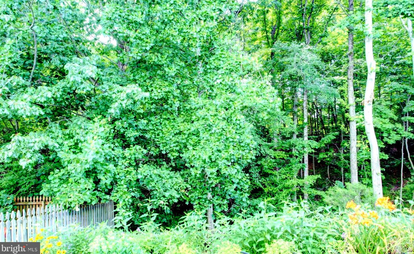 14 Lakeside Dr, Stafford VA 22554-7868 exterior