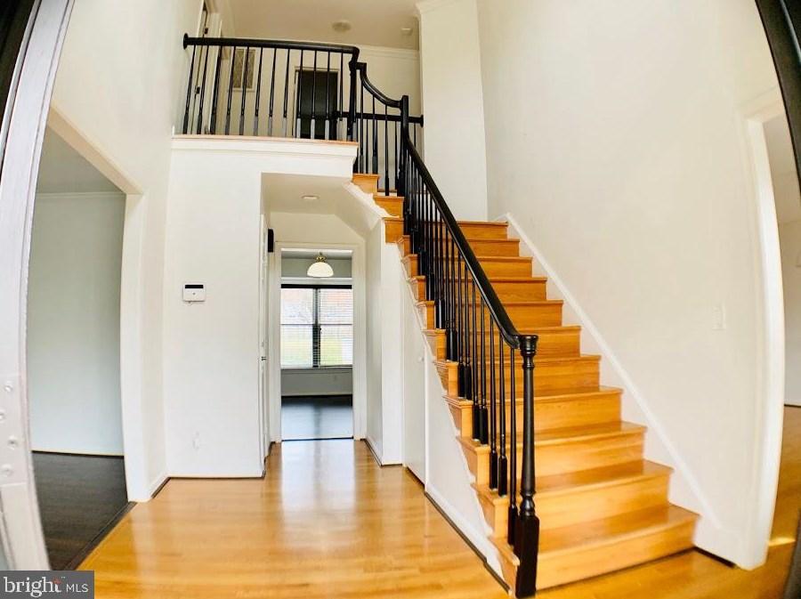15 S Pointe Ln, Fredericksburg, VA 22405
