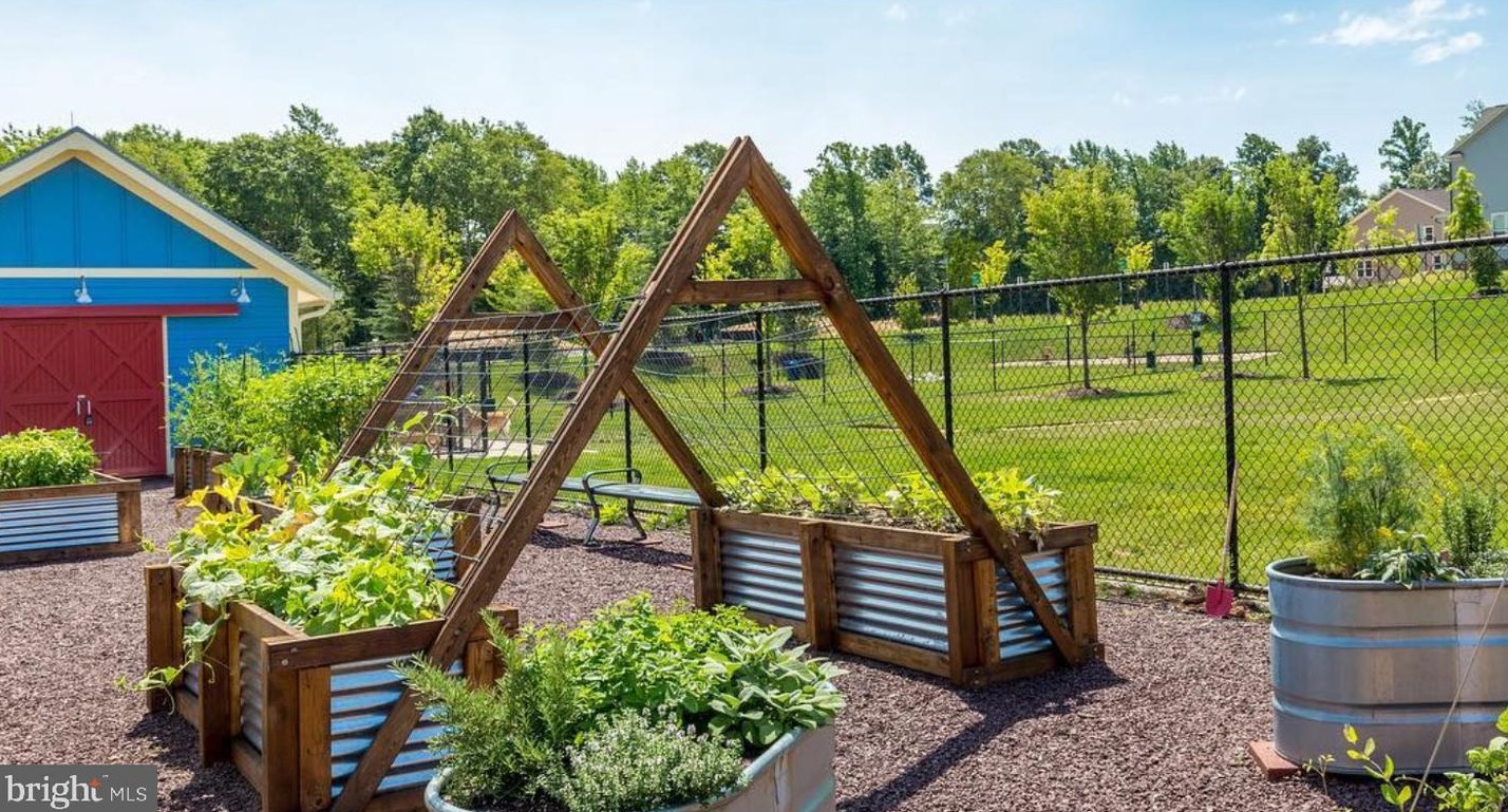 123 Almond Dr, Stafford VA 22554-2537 exterior