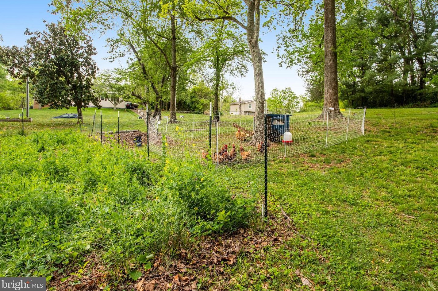 1 Rosepetal St, Stafford VA  22556-6219 exterior