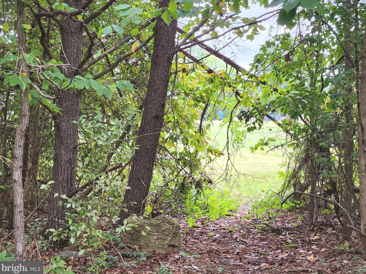 1 Bryant Blvd, Stafford VA  22556-6428 exterior