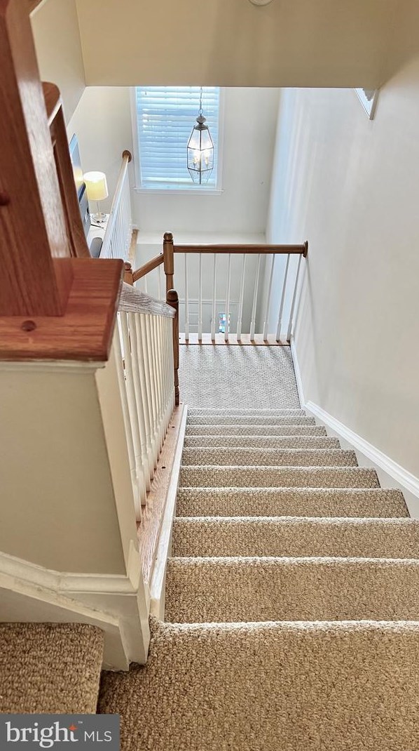 206 Breakers Edge Ct, Stafford VA  22554-4509 exterior