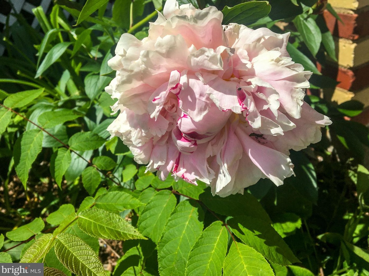 110 Madison Ave, Fredericksburg VA  22405-2527 exterior