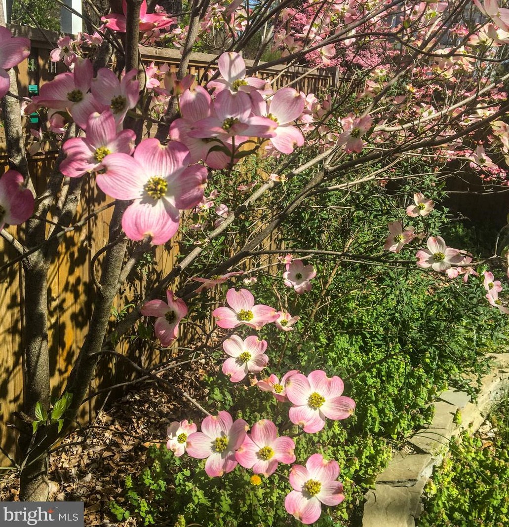 110 Madison Ave, Fredericksburg VA  22405-2527 exterior