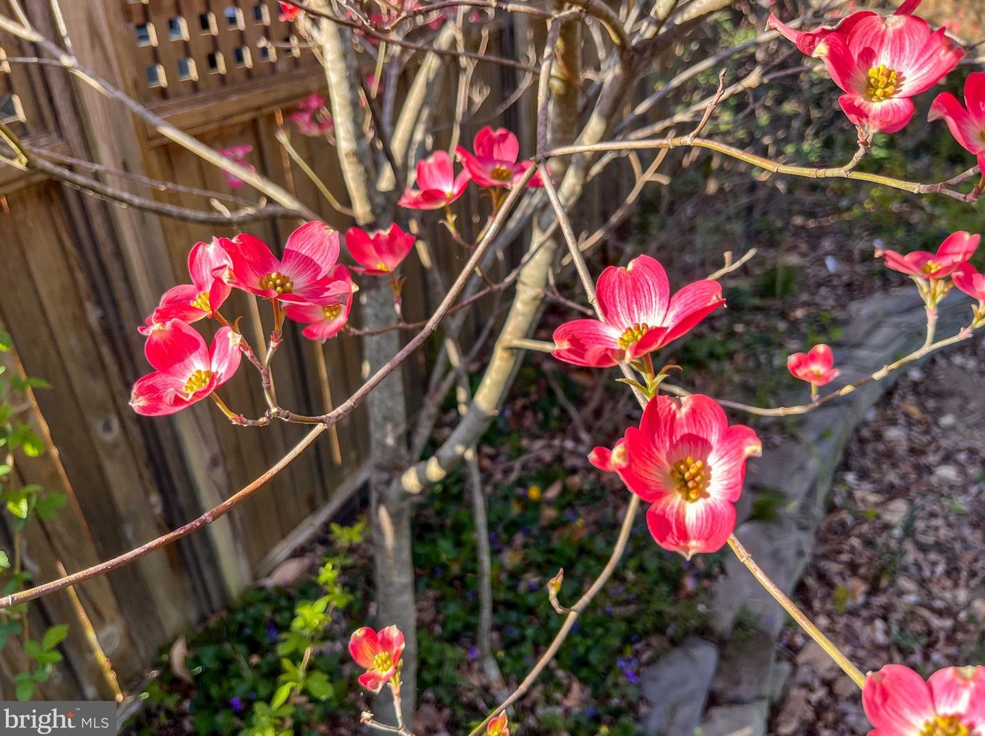 110 Madison Ave, Fredericksburg VA  22405-2527 exterior