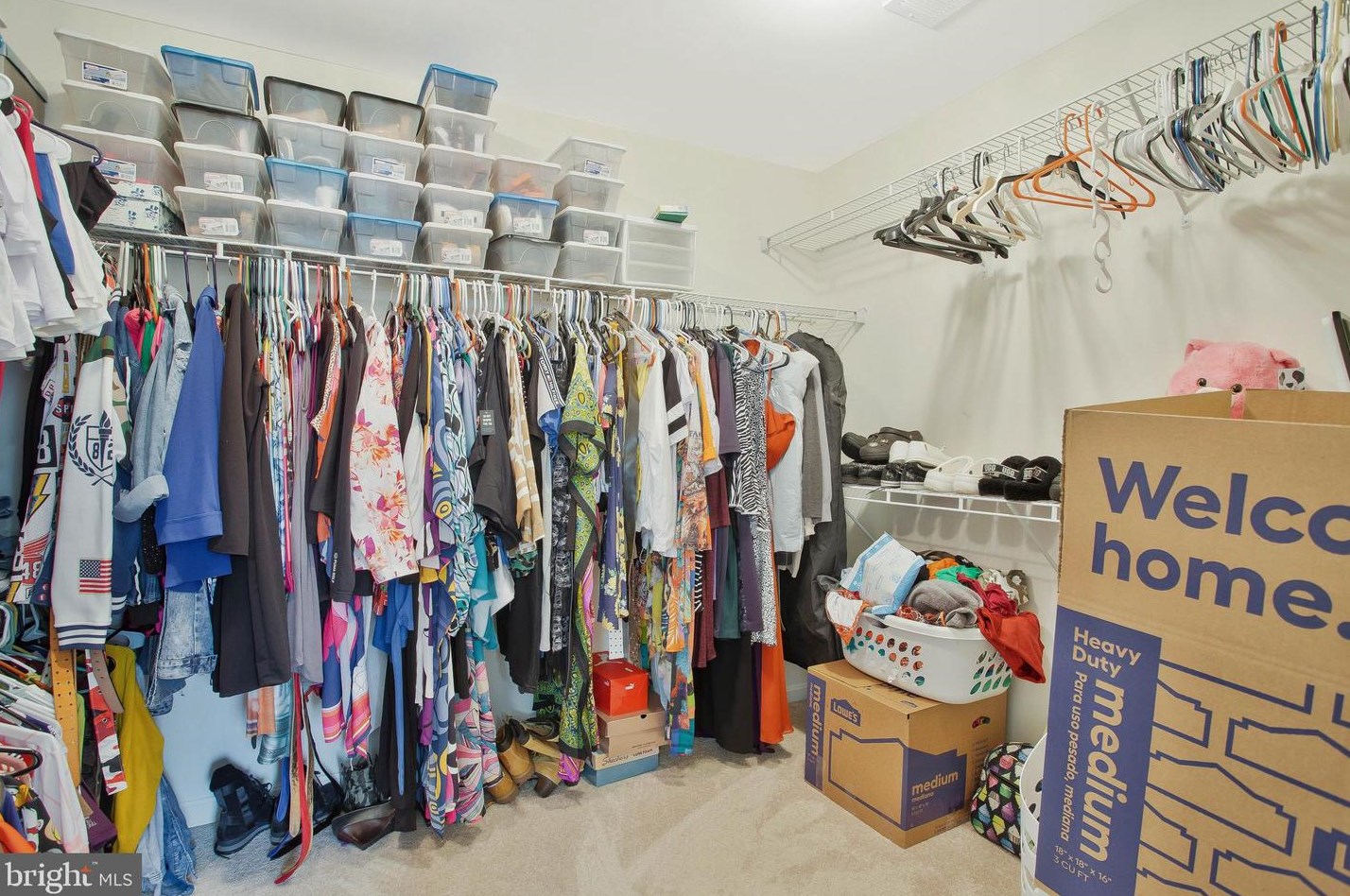 24 Aster Ln, Stafford VA 22554-5044 exterior