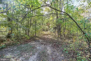 48 Old Creekside Rd, Fredericksburg, VA 22405 - Photo 60