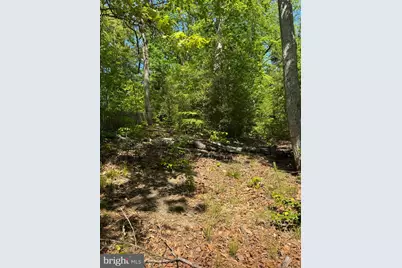 53 Betts Rd, Stafford, VA 22554 - Photo 20