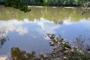 39 River Ridge Ln, Fredericksburg, VA 22406 - Photo 90