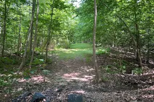 39 River Ridge Ln, Fredericksburg, VA 22406 - Photo 88