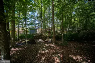 6 Amber Ct, Fredericksburg, VA 22406 - Photo 24