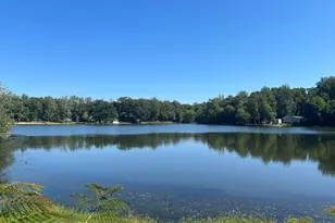 139 Woodland Dr, Stafford, VA 22556 - Photo 40