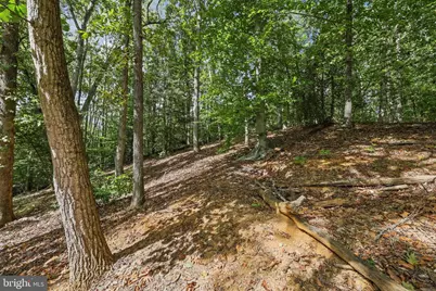 2016 Coast Guard Drive, Stafford, VA 22554 - Photo 42