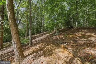 2016 Coast Guard Dr, Stafford, VA 22554 - Photo 42