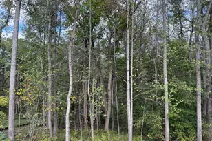 2507 Running Brk Ct, Stafford, VA 22554 - Photo 8