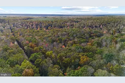 0 Holly Corner Road, Falmouth, VA 22406 - Photo 16