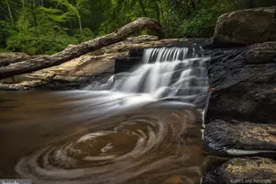 6 Kip Ct, Stafford, VA 22554 - Photo 60