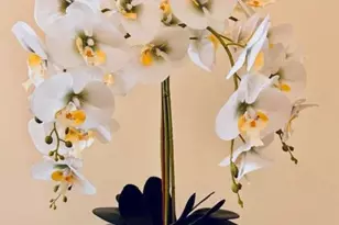 1440 Hartwood Rd, Fredericksburg, VA 22406 - Photo 12