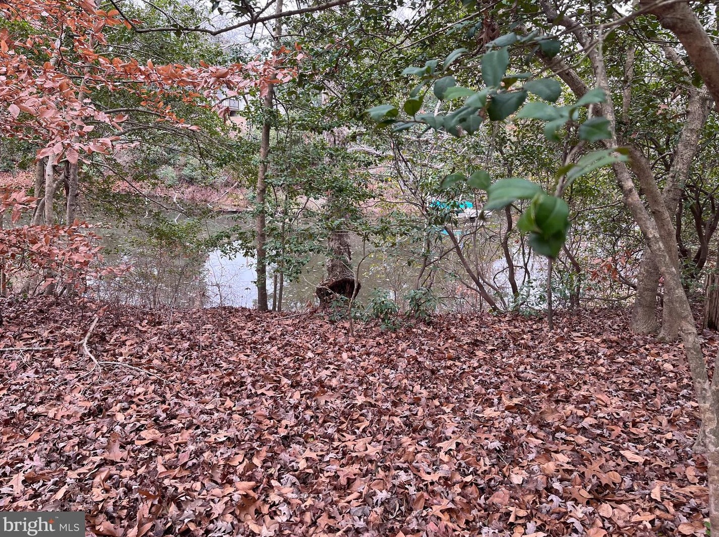 32 Placid Rd, Colonial Bch VA  22443-3202 exterior