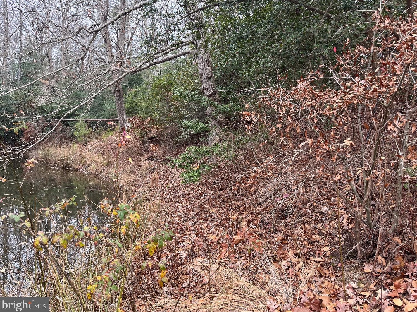 32 Placid Rd, Colonial Bch VA  22443-3202 exterior