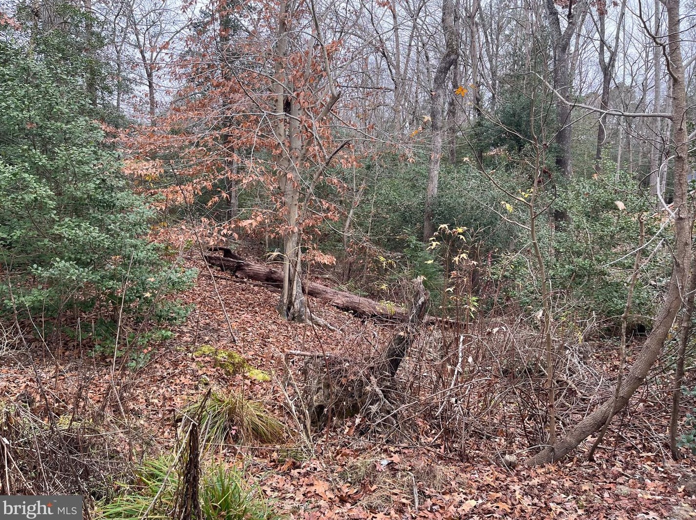 32 Placid Rd, Colonial Bch VA  22443-3202 exterior