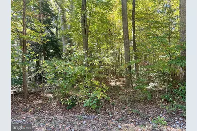 Lot 110 Bishop Drive, Montross, VA 22520 - Photo 10