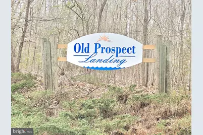 Lots 7,8,9 Old Prospect Landing Road, Montross, VA 22520 - Photo 6