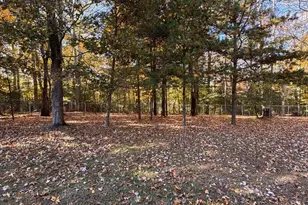 687 Prospect Hill Rd, Montross, VA 22520 - Photo 68