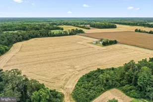 4516 Oldhams Rd, Hague, VA 22469 - Photo 6