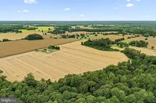 4516 Oldhams Rd, Hague, VA 22469 - Photo 4