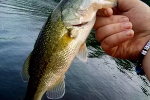 316 Plantation Dr, Montross, VA 22520 - Photo 14