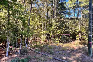 N Glebe, Montross, VA 22520 - Photo 1