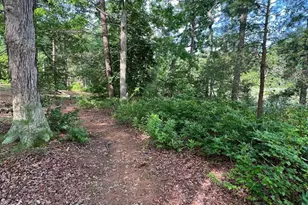 Tbd Lot 256 Armed Forces, Montross, VA 22520 - Photo 76