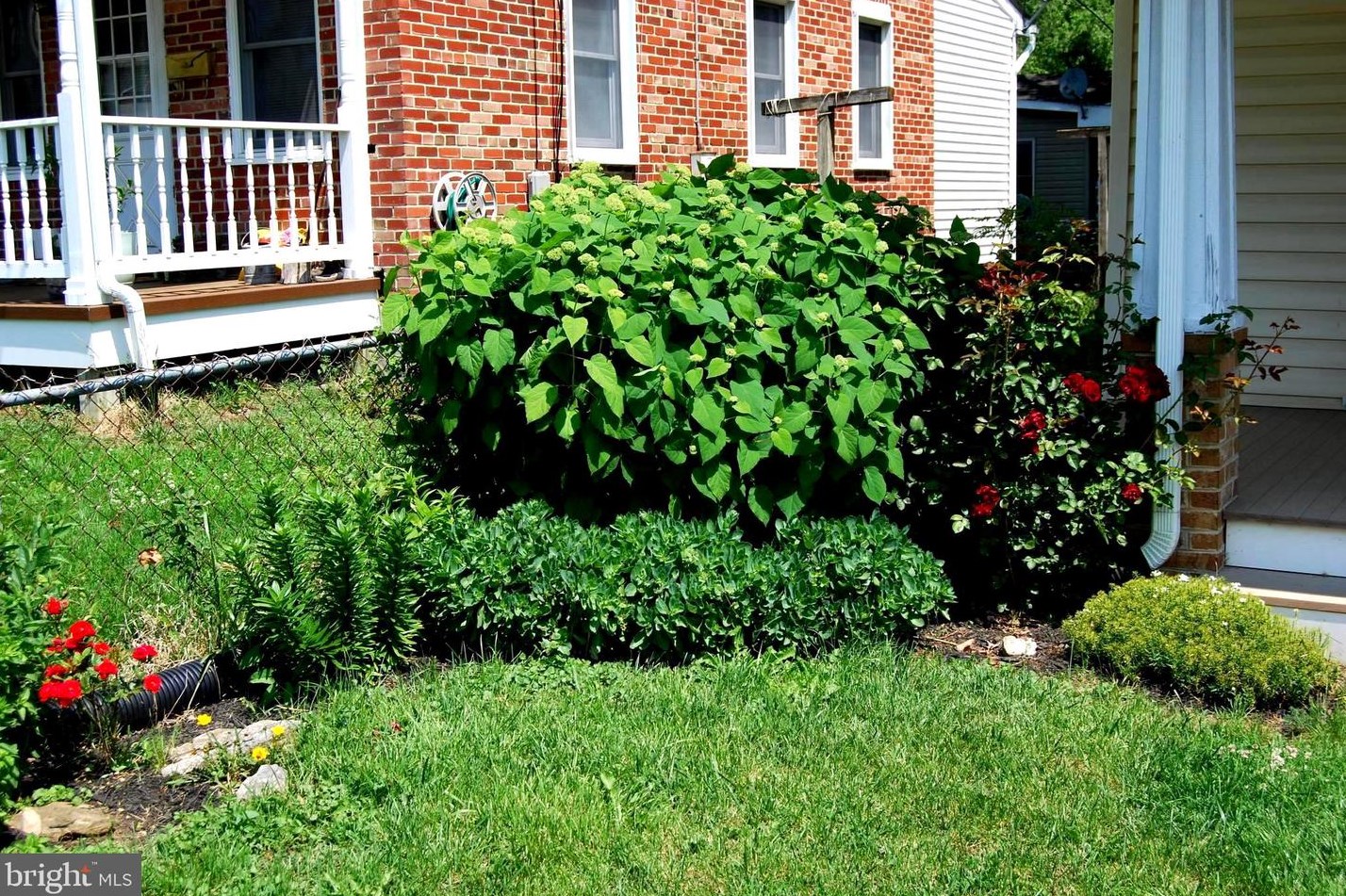16 W Whitlock Ave, Winchester, VA 22601
