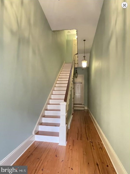 163 N Loudoun St #5, Winchester, VA 22601