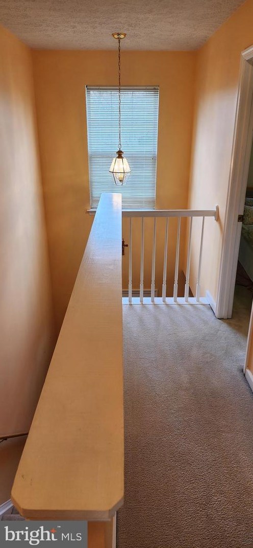 2945 Sorrell Ct, Winchester VA  22601-3498 exterior