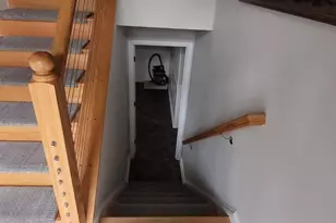 557 Bellview Ave, Winchester, VA 22601 - Photo 26