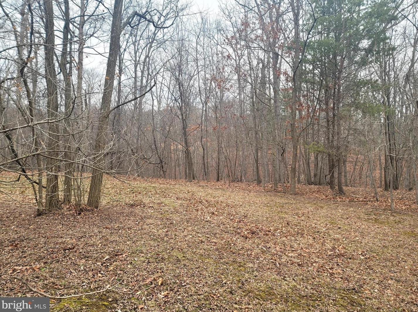 71 Downing Farm Rd, Front Royal VA  22630-5694 exterior