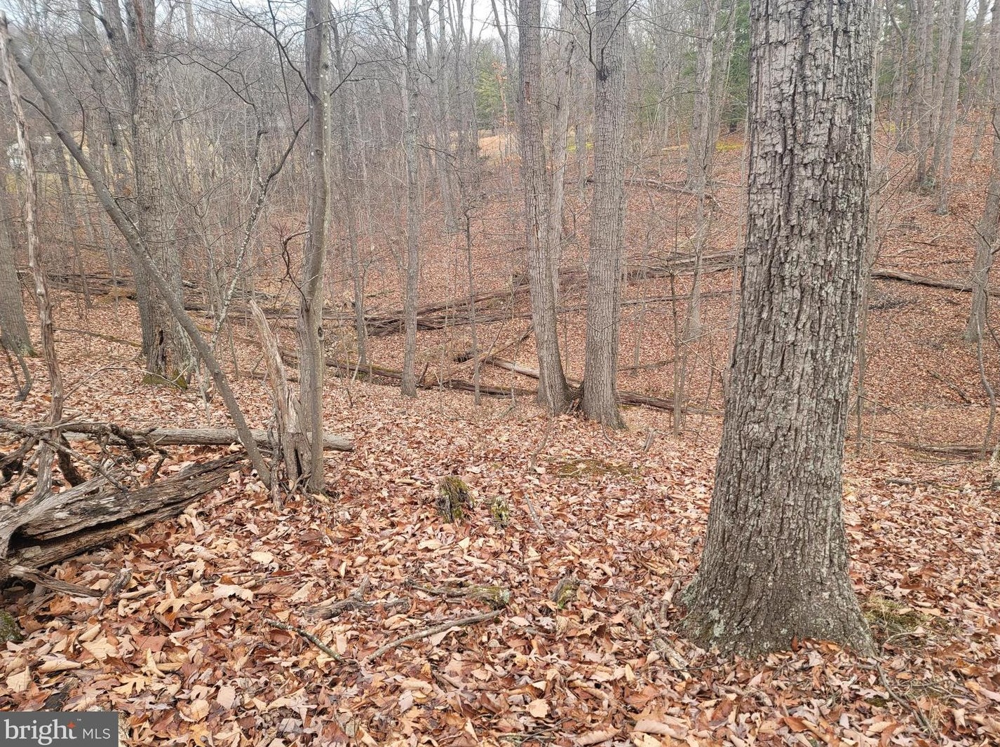 71 Downing Farm Rd, Front Royal VA  22630-5694 exterior