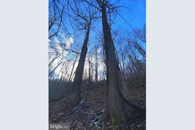 00 Hickory Tree Road, Front Royal, VA 22630 - Photo 22