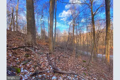 00 Hickory Tree Road, Front Royal, VA 22630 - Photo 12