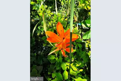 1321 Woodside Avenue, Front Royal, VA 22630 - Photo 22