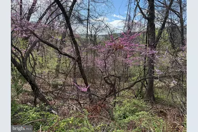 Lot 13 Jonathan Road, Linden, VA 22642 - Photo 2