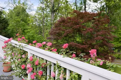 175 Mountain Heights Road, Front Royal, VA 22630 - Photo 46